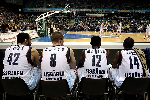 看约基奇的 看约基奇的